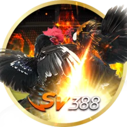 FB777 Sabong